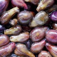 Grape seeds close up